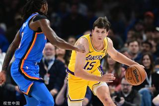 职业生涯的 职业生涯的